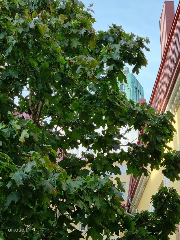 Säästöpankinranta 4 F 58 – photo 5