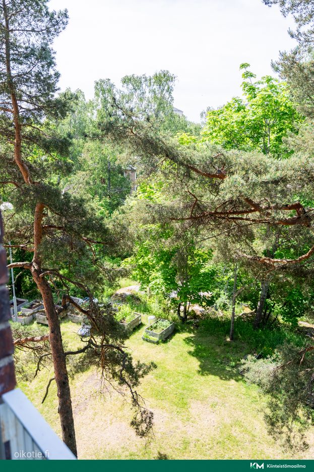 Mäyrätie 2 – photo 6
