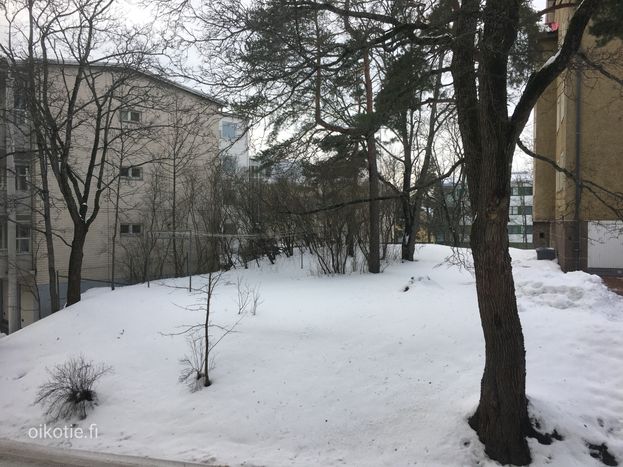 Steniuksentie 21 – photo 6